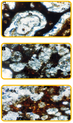 zeolite-mineral